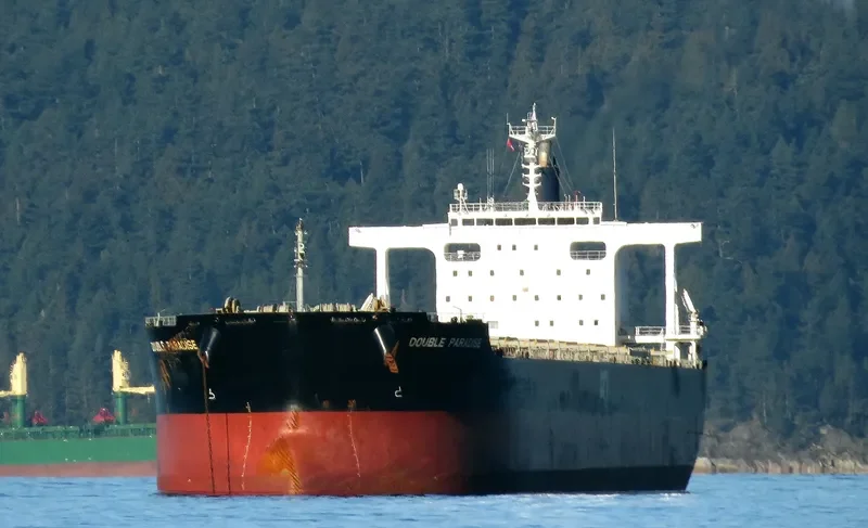 DOUBLE PARADISE Bulk Carrier IMO 9574121 photo 2