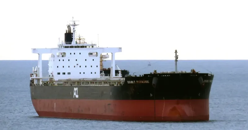 DOUBLE PARADISE Bulk Carrier IMO 9574121 photo 3
