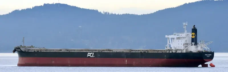 DOUBLE PARADISE Bulk Carrier IMO 9574121 photo 4