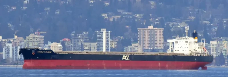 DOUBLE PARADISE Bulk Carrier IMO 9574121 photo 7