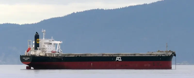 DOUBLE PARADISE Bulk Carrier IMO 9574121 photo 9