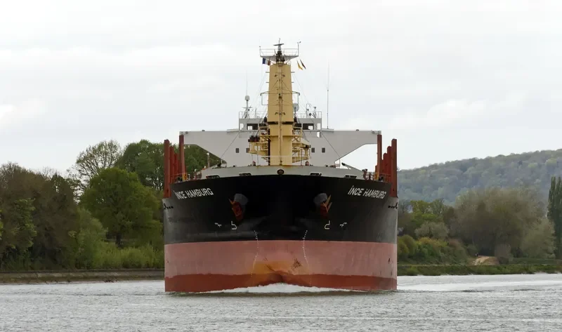 ASALET Bulk Carrier IMO 9574169 photo 6