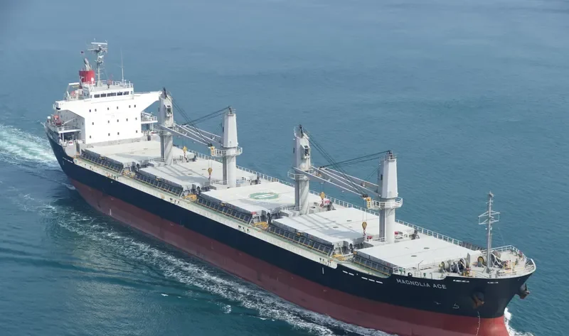 COSMOS Bulk Carrier IMO 9574171