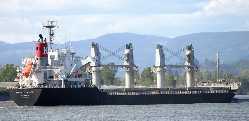 COSMOS Bulk Carrier IMO 9574171 photo 2