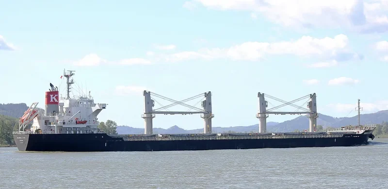 COSMOS Bulk Carrier IMO 9574171 photo 3