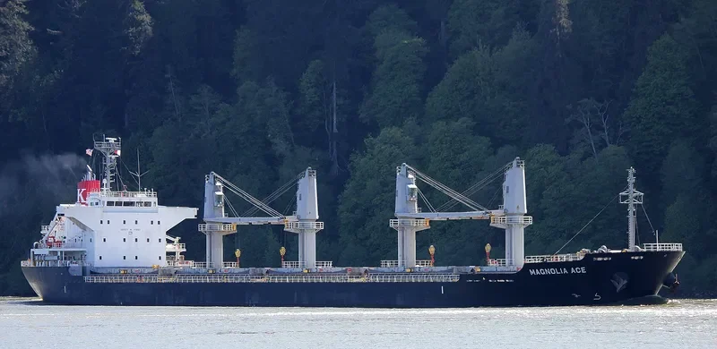 COSMOS Bulk Carrier IMO 9574171 photo 4