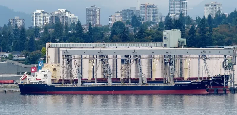 COSMOS Bulk Carrier IMO 9574171 photo 5