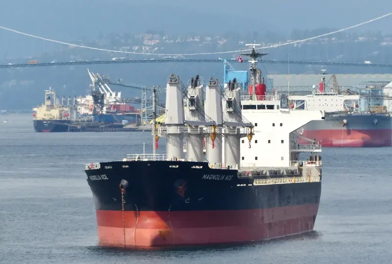 COSMOS Bulk Carrier IMO 9574171 photo 6