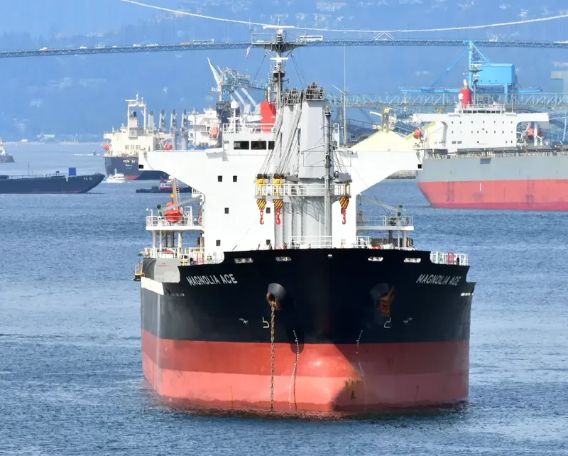 COSMOS Bulk Carrier IMO 9574171 photo 7