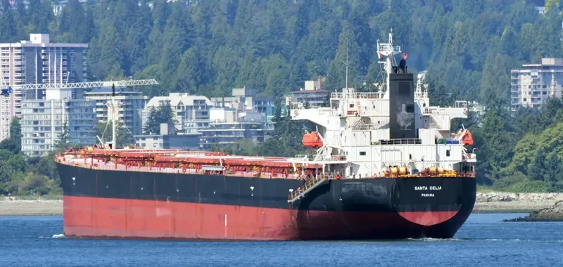 COSMOS Bulk Carrier IMO 9574171 photo 8