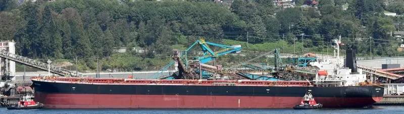 COSMOS Bulk Carrier IMO 9574171 photo 9
