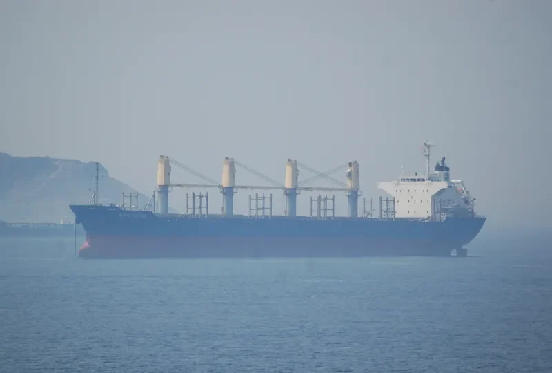 GOLDEN CENTURY Bulk Carrier IMO 9574183