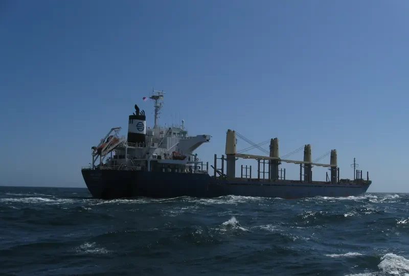 GOLDEN CENTURY Bulk Carrier IMO 9574183 photo 2