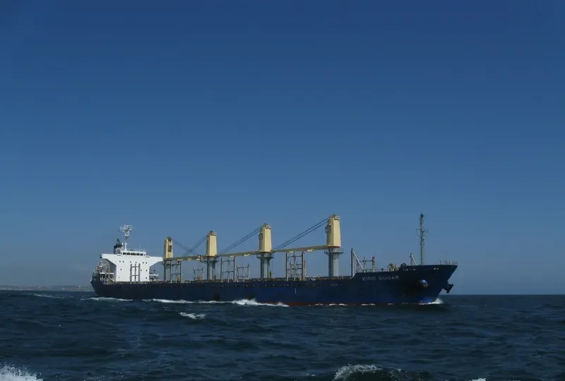 GOLDEN CENTURY Bulk Carrier IMO 9574183 photo 3