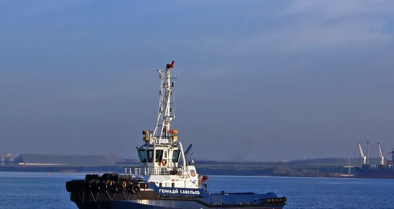 GENNADIY SAVELYEV General Cargo IMO 9574248 photo 9