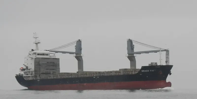 DRACO FAITH General Cargo IMO 9574377 photo 7
