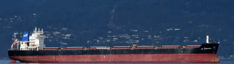SM SAMARINDA Bulk Carrier IMO 9574391 photo 2