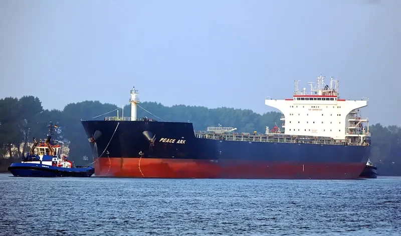PEACE ARK Bulk Carrier IMO 9574406