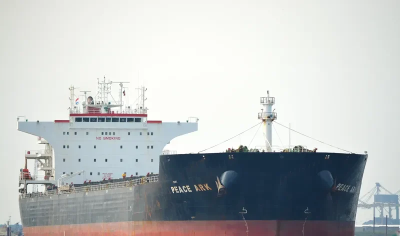 PEACE ARK Bulk Carrier IMO 9574406 photo 2