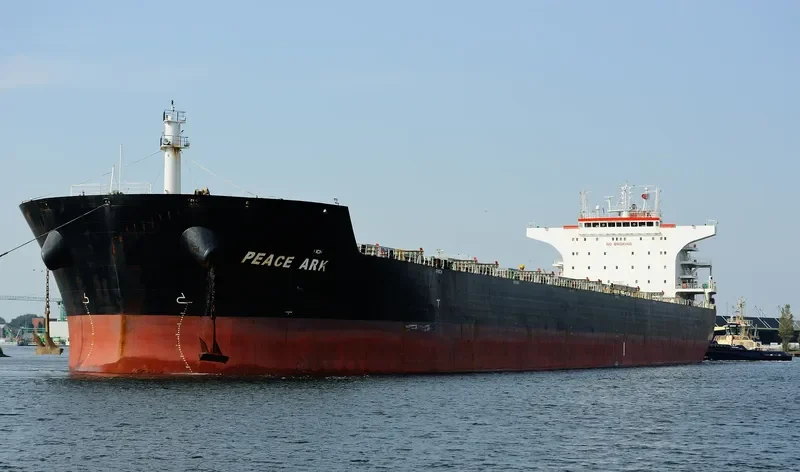 PEACE ARK Bulk Carrier IMO 9574406 photo 5