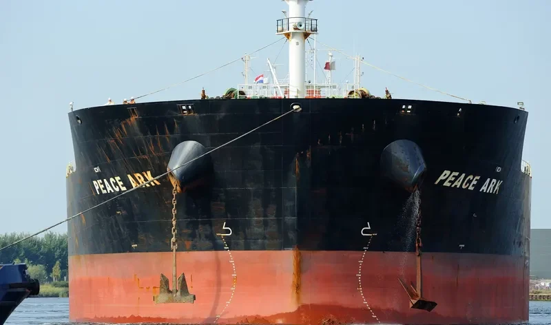 PEACE ARK Bulk Carrier IMO 9574406 photo 6