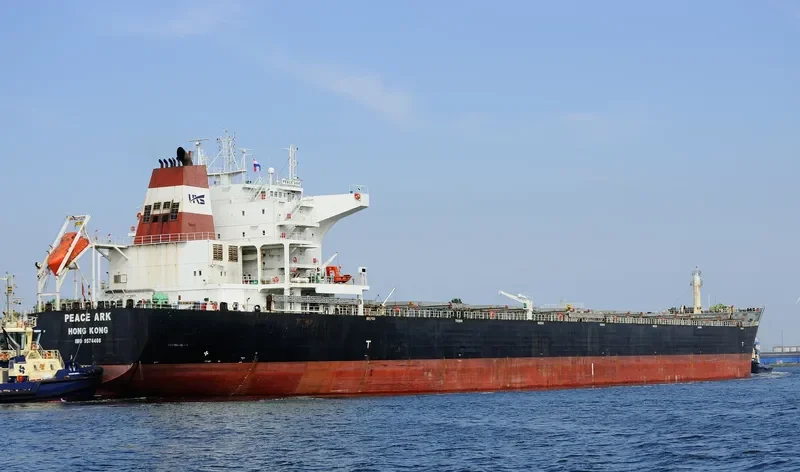 PEACE ARK Bulk Carrier IMO 9574406 photo 8