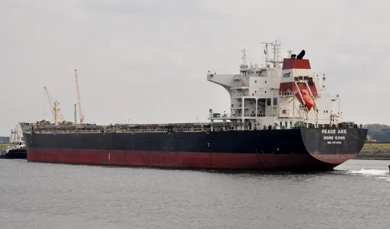 PEACE ARK Bulk Carrier IMO 9574406 photo 9