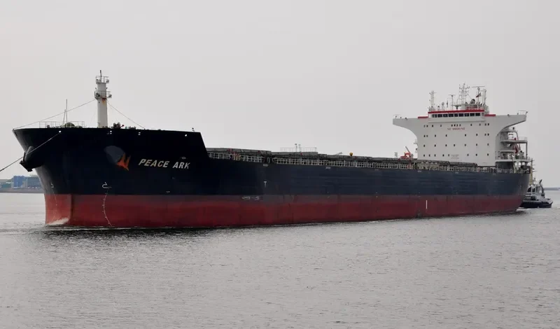 PEACE ARK Bulk Carrier IMO 9574406 photo 10