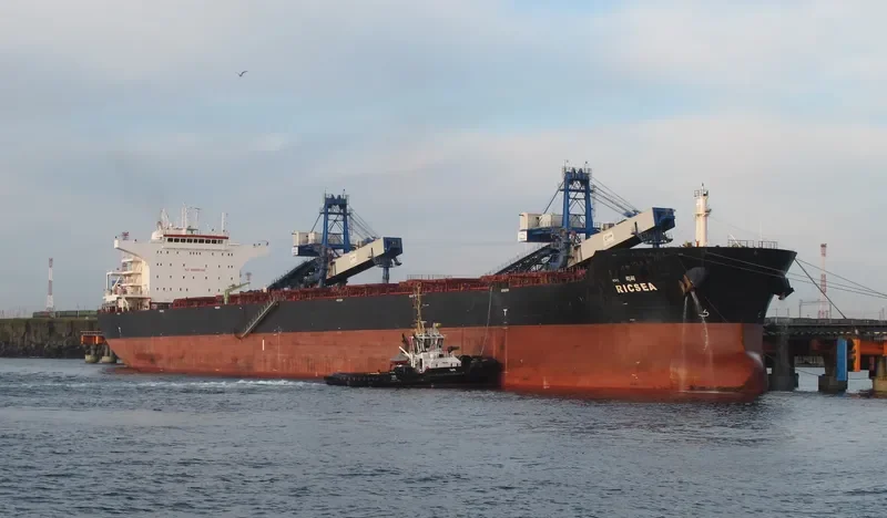 RICSEA Bulk Carrier IMO 9574432