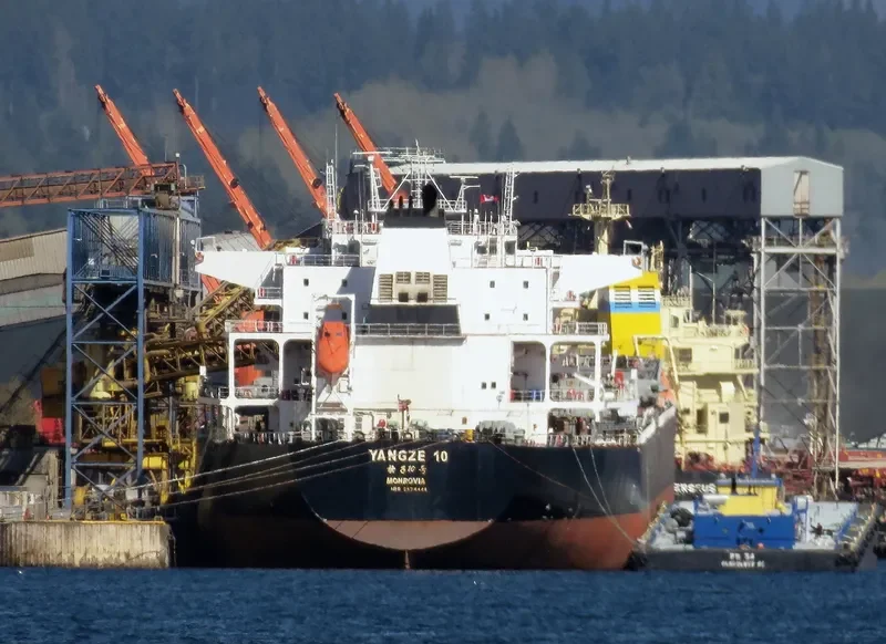 YANGZE 10 Bulk Carrier IMO 9574444