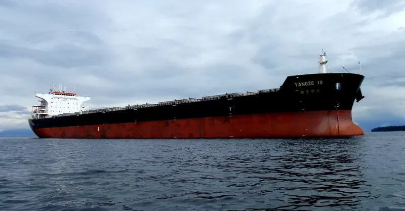 YANGZE 10 Bulk Carrier IMO 9574444 photo 4