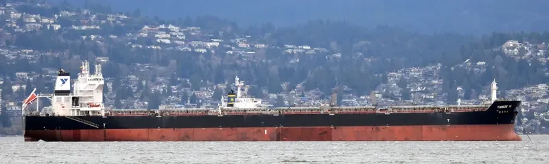 YANGZE 10 Bulk Carrier IMO 9574444 photo 8