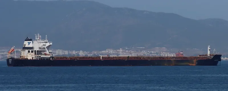 WELPROFIT Bulk Carrier IMO 9574456 photo 3