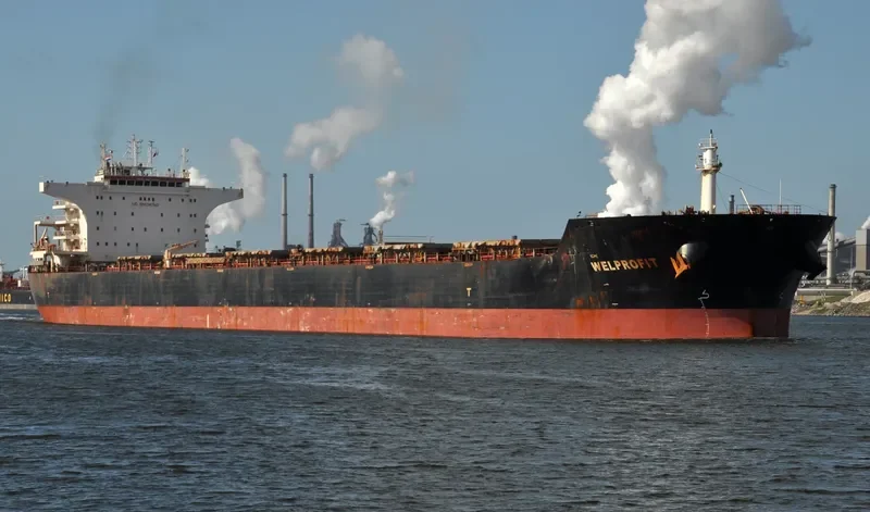 WELPROFIT Bulk Carrier IMO 9574456 photo 4