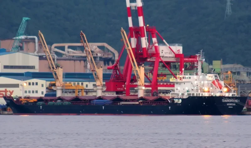 LIN HAI 1 Bulk Carrier IMO 9574729 photo 2