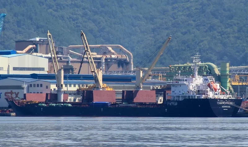 LIN HAI 1 Bulk Carrier IMO 9574729 photo 3