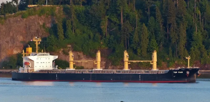 TOP FAIR Bulk Carrier IMO 9574846 photo 3
