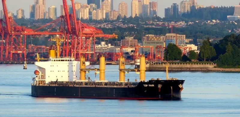 TOP FAIR Bulk Carrier IMO 9574846 photo 4