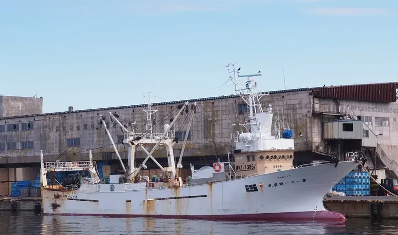 MYOJO NO.101 General Cargo IMO 9574884