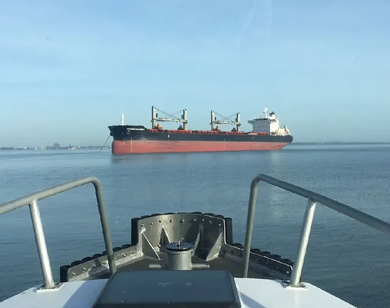 STONINGTON EAGLE Bulk Carrier IMO 9575151
