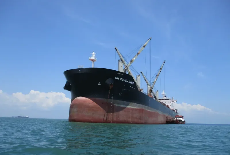 C FAITH Bulk Carrier IMO 9575163