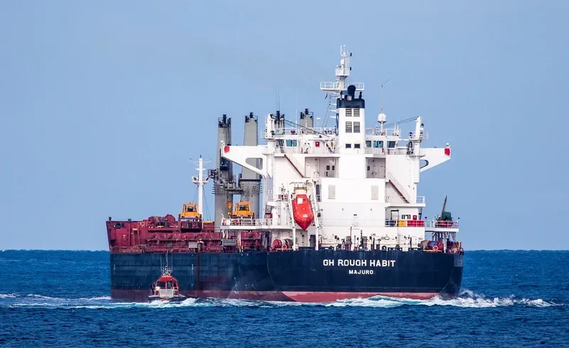 C FAITH Bulk Carrier IMO 9575163 photo 2