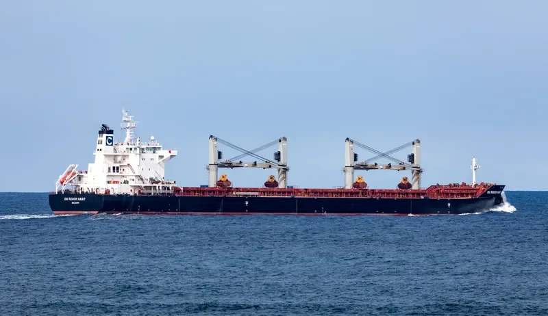 C FAITH Bulk Carrier IMO 9575163 photo 3