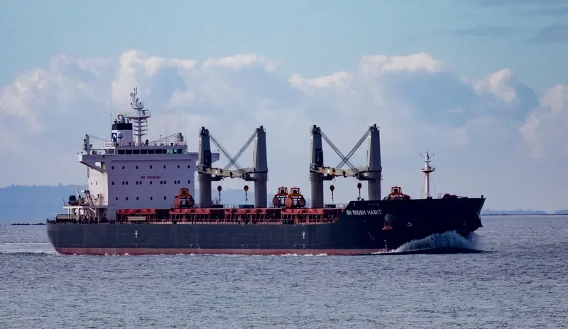 C FAITH Bulk Carrier IMO 9575163 photo 4