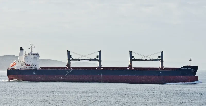 C FAITH Bulk Carrier IMO 9575163 photo 6