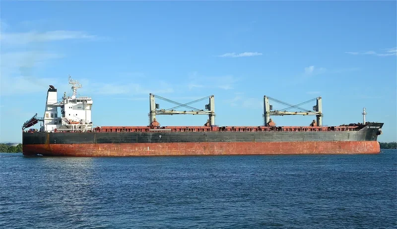 C FAITH Bulk Carrier IMO 9575163 photo 7