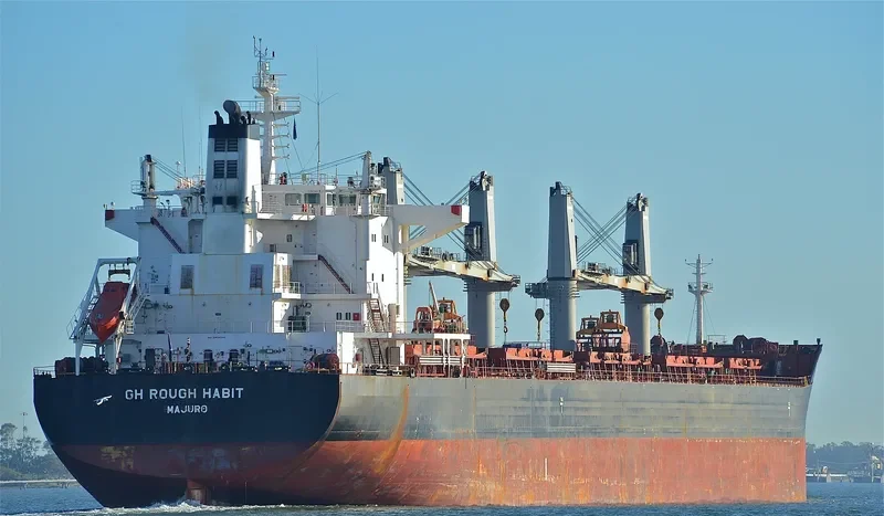C FAITH Bulk Carrier IMO 9575163 photo 8