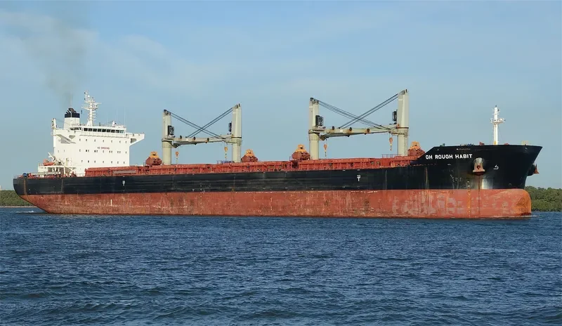 C FAITH Bulk Carrier IMO 9575163 photo 9