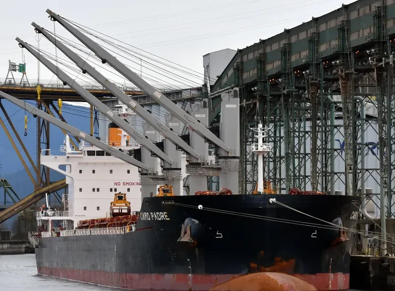 CARO PADRE Bulk Carrier IMO 9575199