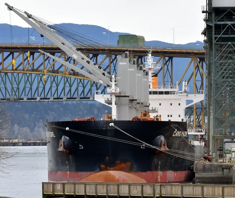 CARO PADRE Bulk Carrier IMO 9575199 photo 2